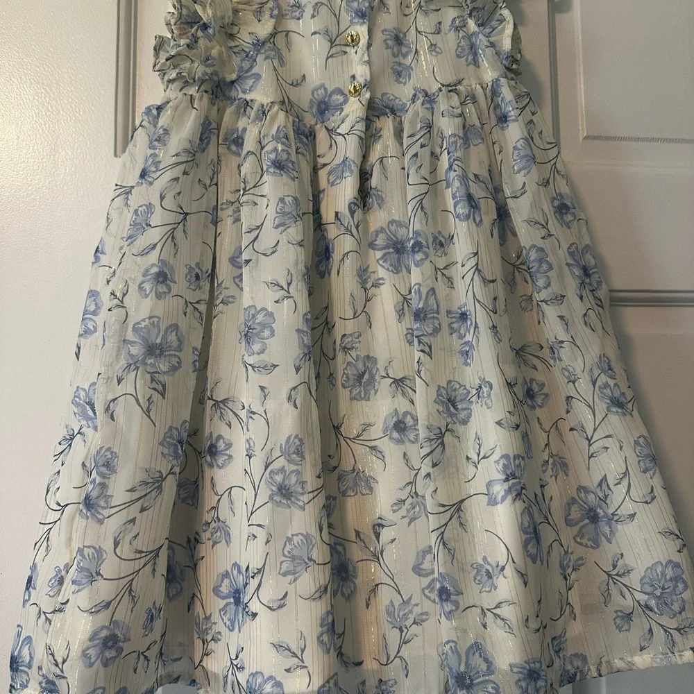 Floral Blue and White Dress - Picture 6 of 12